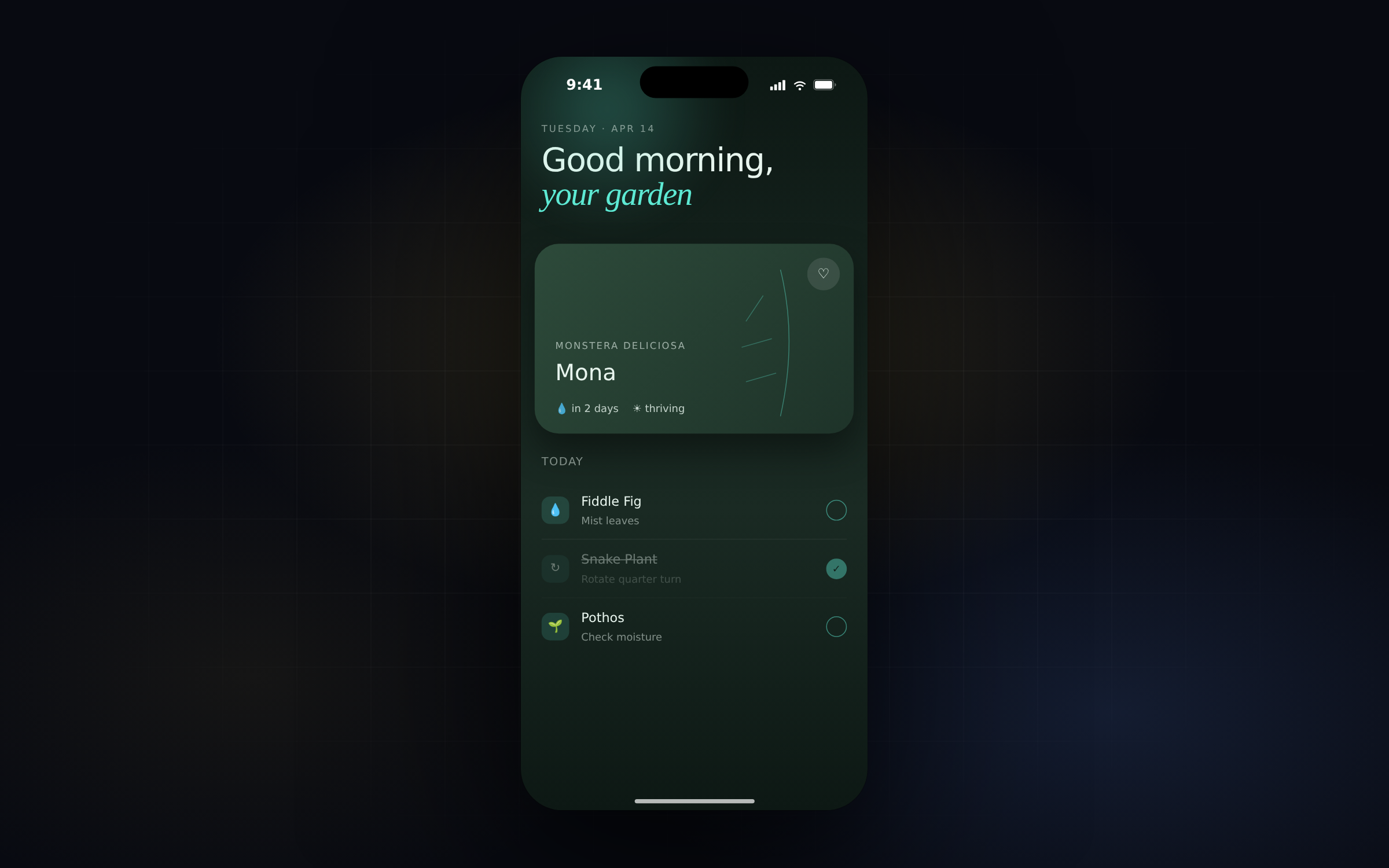 Fern, an iOS plant-care app with computer-vision plant identification